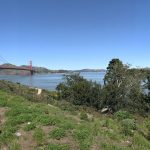 Panaroma (9530×3794’den tekrar ölçeklendi)