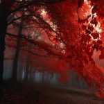 3440×1440 Wallpaper Nature (32)